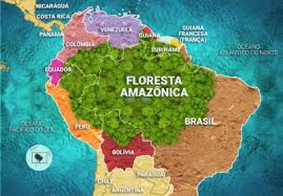 Em 40 anos, Amazônia perde área de floresta do tamanho da França